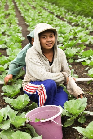 LAKE BATUR, BALI - JANUARY 21. Portrait of young woman on Lake Batur on January 21, 2012 in Bali, Indonesia. Children help their parents farming after school.のeditorial素材
