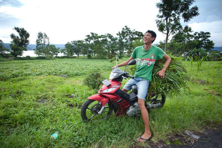 LAKE BATUR, BALI - JANUARY 21. Young man transporting grass for this cows on Lake Batur on January 21, 2012 in Bali, Indonesia. All grass for the cows is cut daily.のeditorial素材
