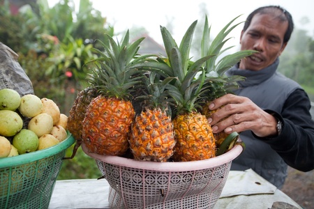 BALI - JANUARY 20. Balinese fruit stall owner selling his produce in Bali on January 20, 2012 in Bali, Indonesia. Most fruit is used for offerings in temples rather for personal consumption.のeditorial素材