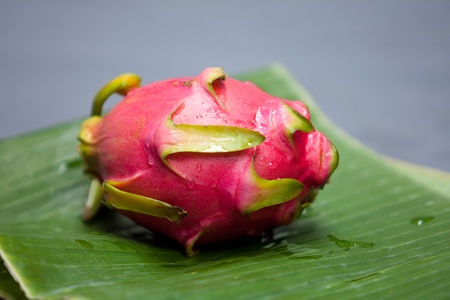 Dragon fruit on banana leaf with grey backgroundの写真素材