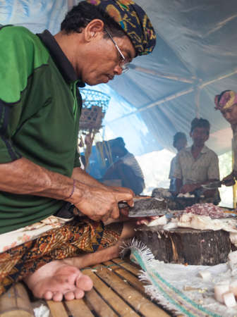 BALI - FEBRUARY 11. Villagers prepare food for wedding ceremony on February 11, 2012 in Bali, Indonesia. This fishing village community eat mostly pork.のeditorial素材