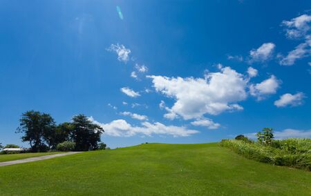 green hillの写真素材