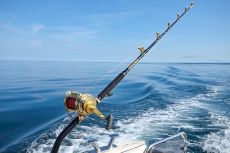 big game fishing reel in natural settingの写真素材