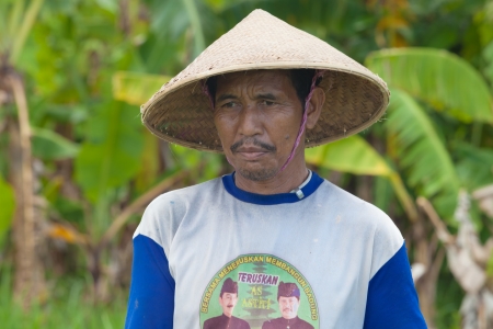 Rice farmer using nitrogen fertiliser on his fieldのeditorial素材