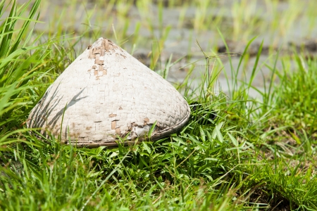 Woven conic hat in paddy field in Baliの写真素材