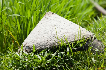 Woven conic hat in paddy field in Baliの写真素材
