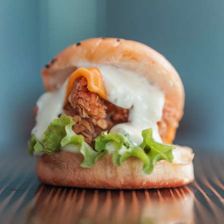 Chicken Zinger Burger with sesame beans topping and filled with vegetablesの写真素材