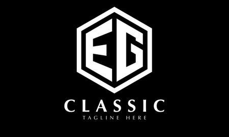 Elegant black and white hexagonal letter E logo design vector icon templateのイラスト素材