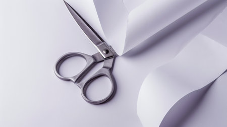 Durable Scissors on White Background.の素材