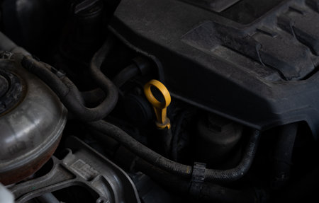 Dipstick for checking engine oil levelの写真素材