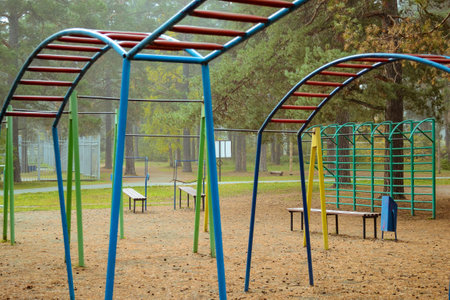 Multi-colored playground in the forest