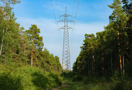 The forest surrounds the power lines linney against the backdrop of clouds and blue sky