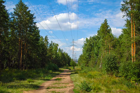 High power lines with wires in the middle of a dense green coniferous forest against the background of white clouds and blue skyの写真素材