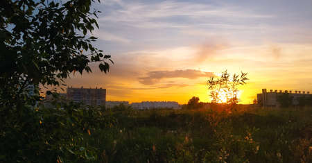 The evening sun at sunset illuminates a country field and plants against the backdrop of residential...