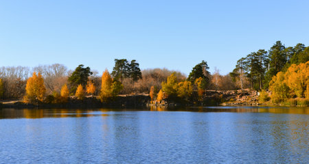 Autumn trees on the shore of a forest lakeの写真素材