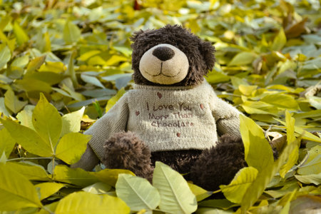 A teddy bear in a sweater sits among the fallen leavesの写真素材