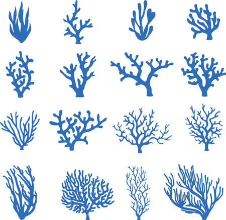 Set of underwater plants and coralsのイラスト素材