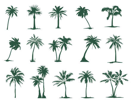 A set of silhouettes of Palm trees (15 pieces). Tropical palm tree silhouette for your artのイラスト素材