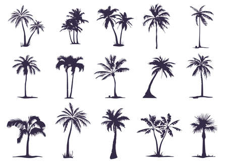 A large set of silhouettes of Palm trees (15 pieces). Palm tree silhouette for your needs and artのイラスト素材
