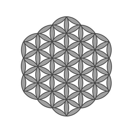 Symbol Flower of life. The flower of life is a symbol of sacred geometry and the universal forgotten language of the universe.のイラスト素材