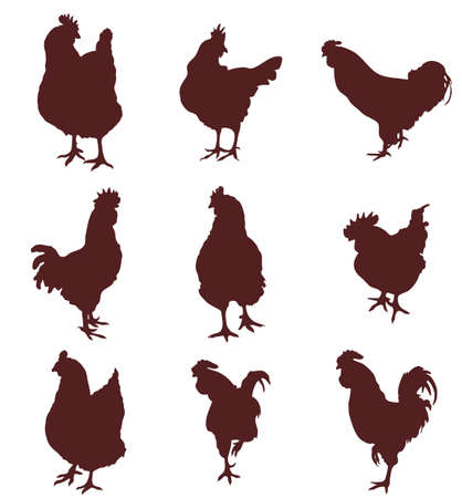 Set of silhouettes of a hen, a rooster and little chicksのイラスト素材