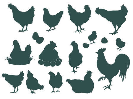 Set of silhouettes of hen, chick and rooster. Silhouettes of village hens and roosterのイラスト素材