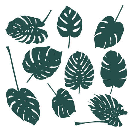 Set of monstera leaves silhouettes (9 pieces)のイラスト素材