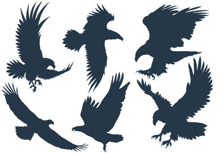 A set of flying eagle silhouettes (6 pieces)のイラスト素材