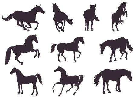 Set of horse silhouettes (10 pieces)のイラスト素材