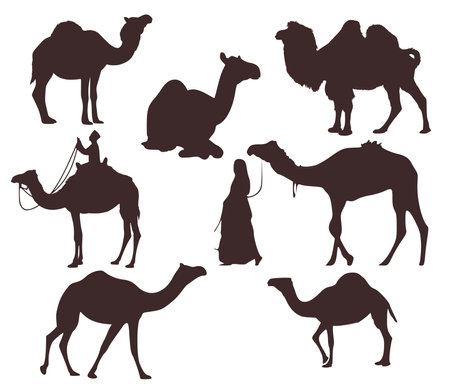 Set of seven silhouettes of camelsのイラスト素材