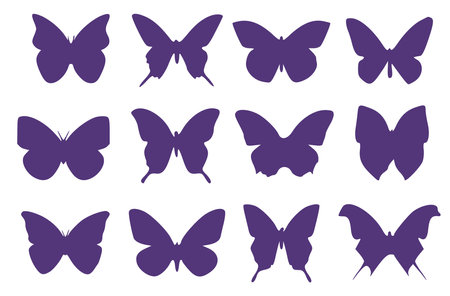 Set of twelve butterfly silhouettes. Entomological collection of butterflies.のイラスト素材