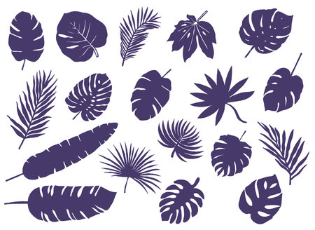Large set of silhouettes of tropical leaves and palm branchesのイラスト素材