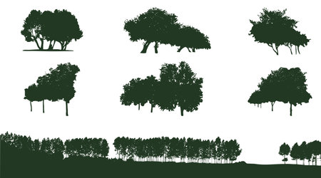 Set of deciduous trees silhouettesのイラスト素材