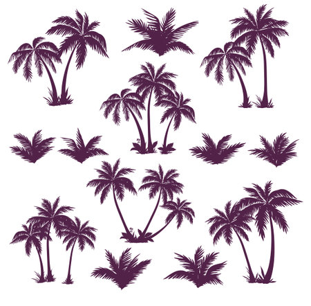 Set of silhouettes of palm treesのイラスト素材