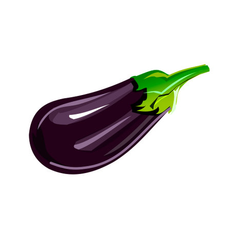 Illustration of a common eggplantのイラスト素材