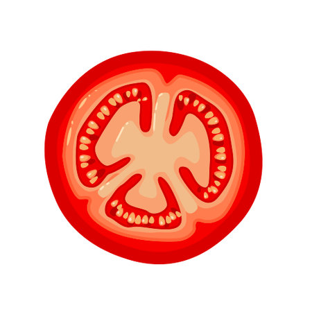 Sliced tomato. A tomato in a sectionのイラスト素材