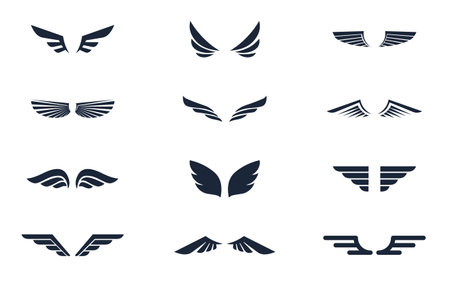 Set of simple icons of various wingsのイラスト素材