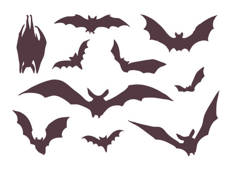 Set of silhouettes of bats for Halloweenのイラスト素材
