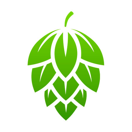 Green hop flower on a white backgroundのイラスト素材