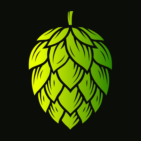 An image of a green hop flower on a black backgroundのイラスト素材