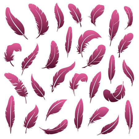 A large set of feathers of various shapesのイラスト素材
