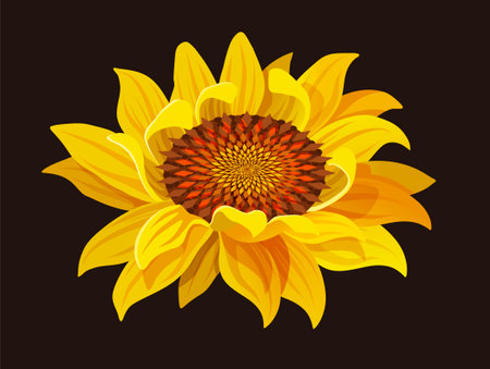 Illustration of a yellow sunflower flowerのイラスト素材