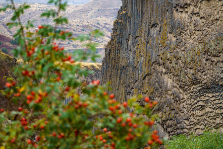 Striking view of a vertical basalt cliff formation in Armenia, characterized by its unique hexagonal...