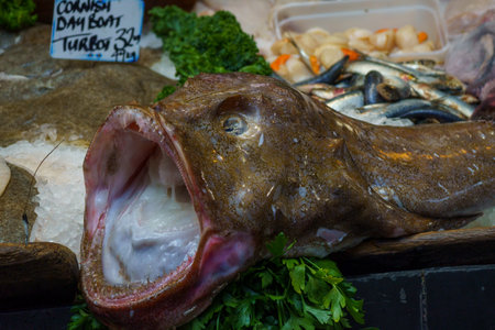Raw Monkfish with Open Mouth on Ice at Fish Market