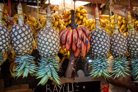 Fresh small red bananas and pineapples hanging at the Darajani Market, Bazaar in Stone Town, Zanzibar, Tanzania.の写真素材