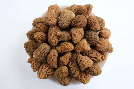 Many young spring mushrooms Morchella lie on a round plate on the table. Mushroom hats are brown and...