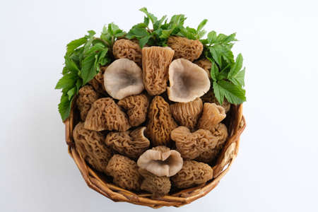 Morels lie in a round basket. Spring, the first mushrooms. Morels in the kitchen. Delicious...
