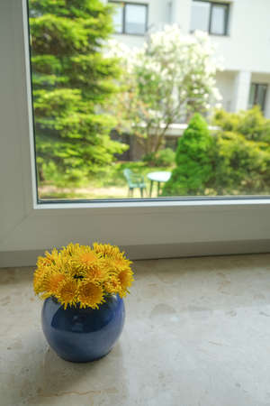 A bouquet of yellow dandelions in a round blue vase stands on the windowsill. Vertical photo. High quality photoの写真素材