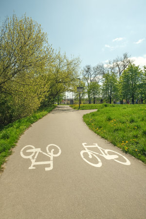 The signs of the two bikes are depicted in white paint on the bike path. A sunny summer day in the park. The idea of a healthy lifestyle. High quality photoの写真素材