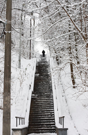 A staircase with many steps in the citys winter park. A lot of snow around. High quality photoの写真素材